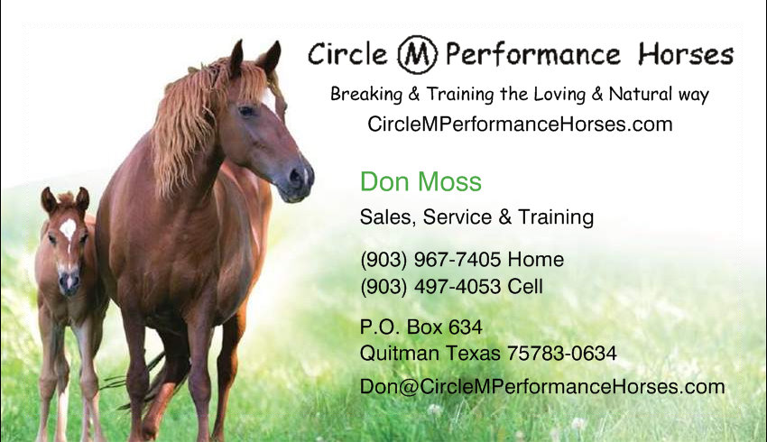 Circle M Performance Horses business card