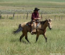 Horseman riding in open range.
