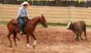 Horse & rider working a steer.